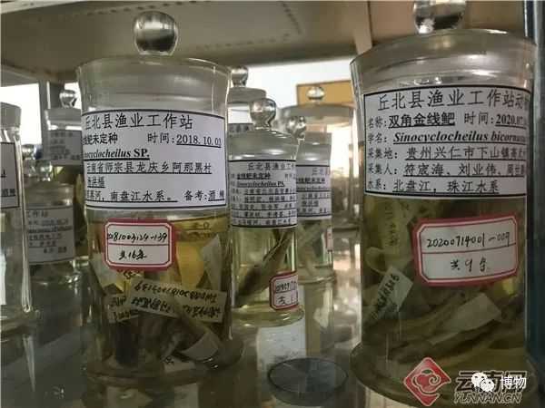 百分之95酒精用途（95%酒精的作用与用途）