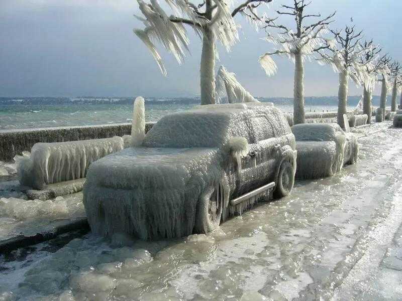 专家：东北、辽宁、黑龙江等地发生特大暴雪，有可能引发雪灾