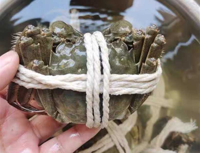 河蟹的做法清蒸（蒸着吃河蟹做法和步骤）