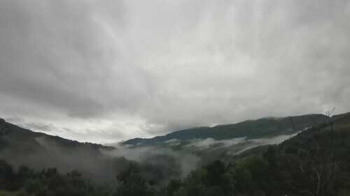 哀牢山4人失踪第8天：雨雾影响救援，重装搜救组24人进山