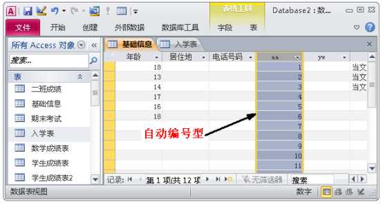 access教程入门基础（自学access数据库经典教程）