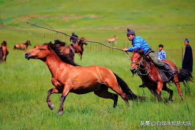 内蒙古大汉骑马拎百万现金购房！草上民族的豪横你想象不到