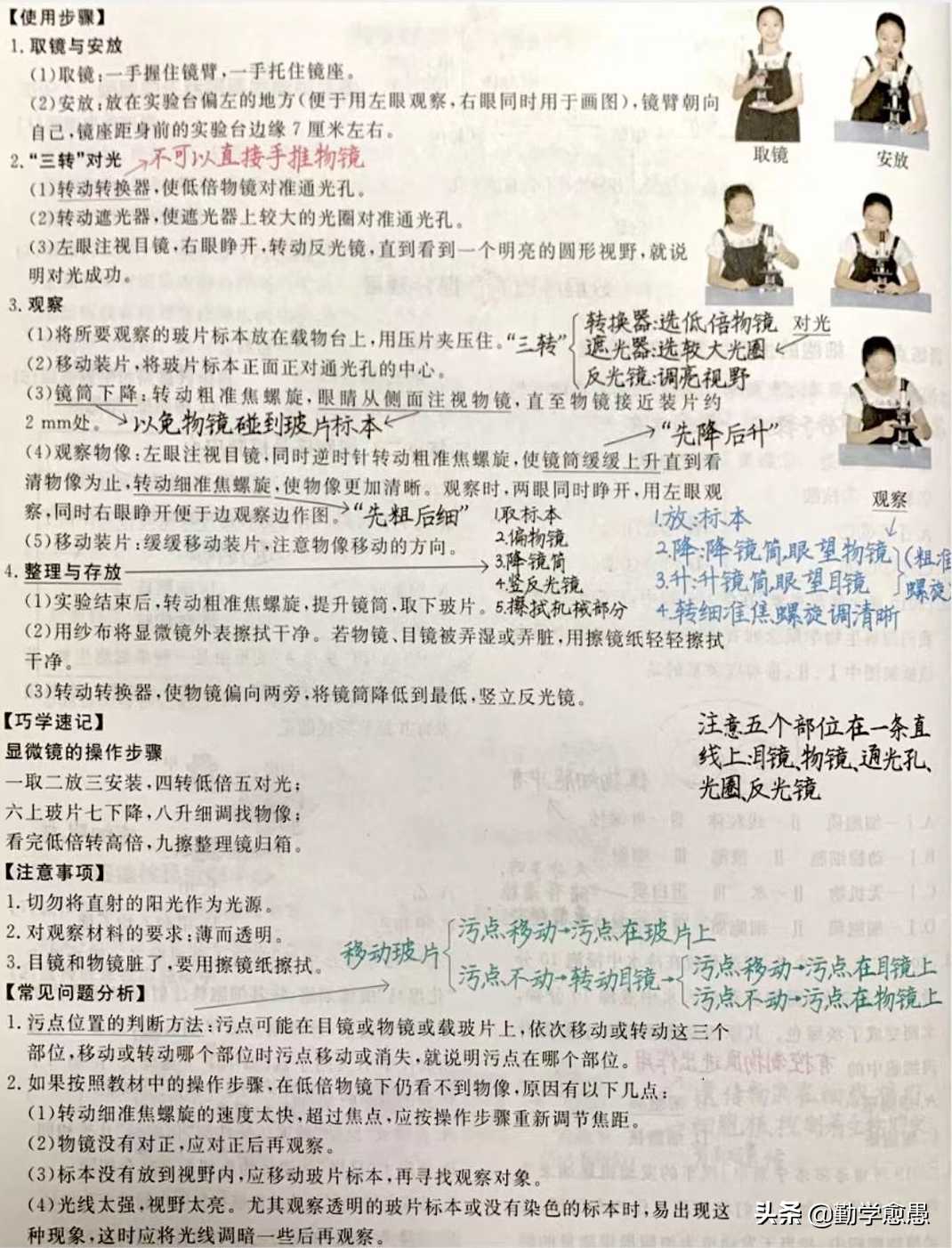 显微镜的结构图和作用（显微镜的结构及使用方法）