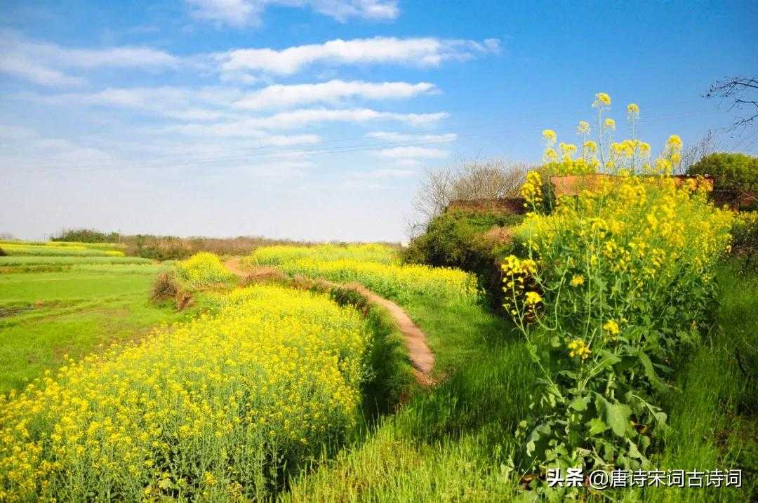 陌上花开是什么意思（陌上花开诗词赏析）