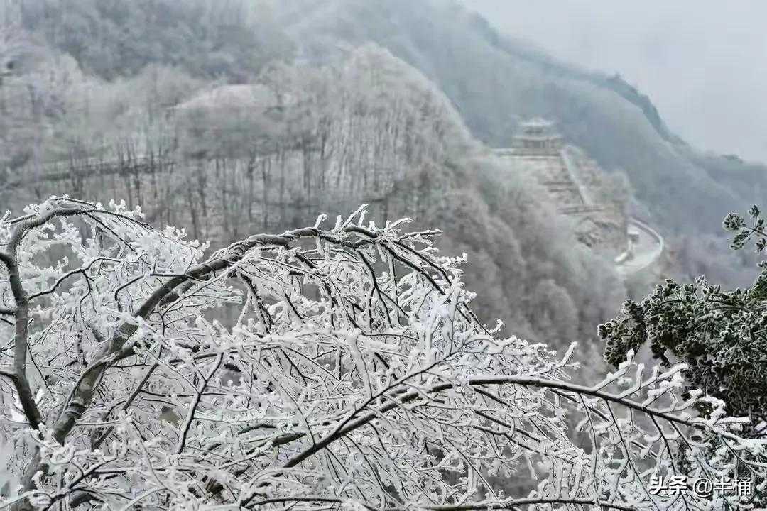 暴雪橙色预警：北方多地迎暴雪，防御指南请收好