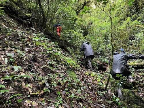 哀牢山4人失踪第8天：雨雾影响救援，重装搜救组24人进山