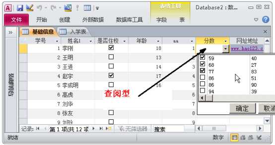 access教程入门基础（自学access数据库经典教程）