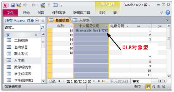 access教程入门基础（自学access数据库经典教程）