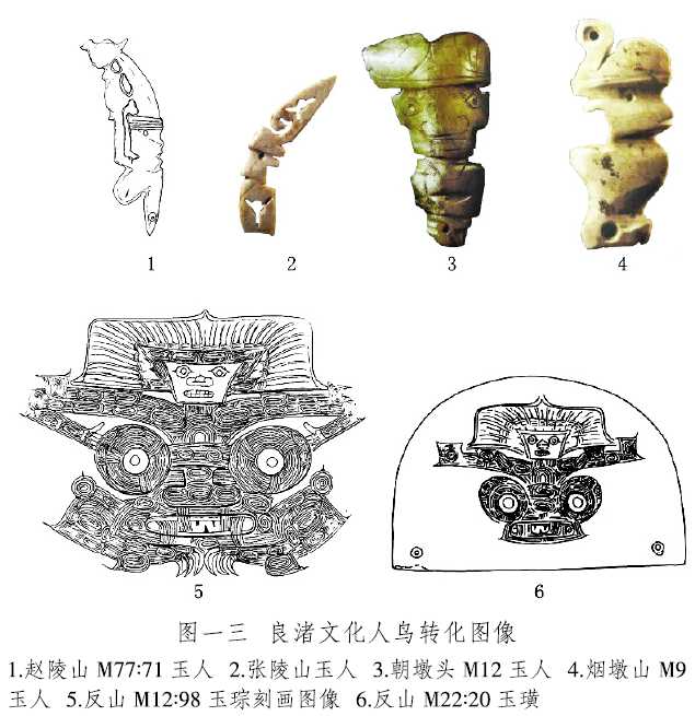 羽化是什么意思(图片羽化是什么意思)