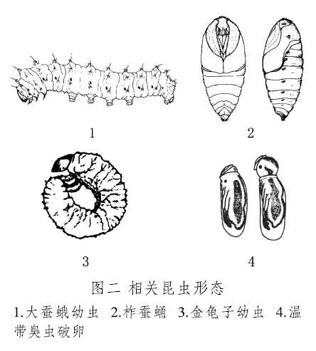 道在哪里(道在何处)