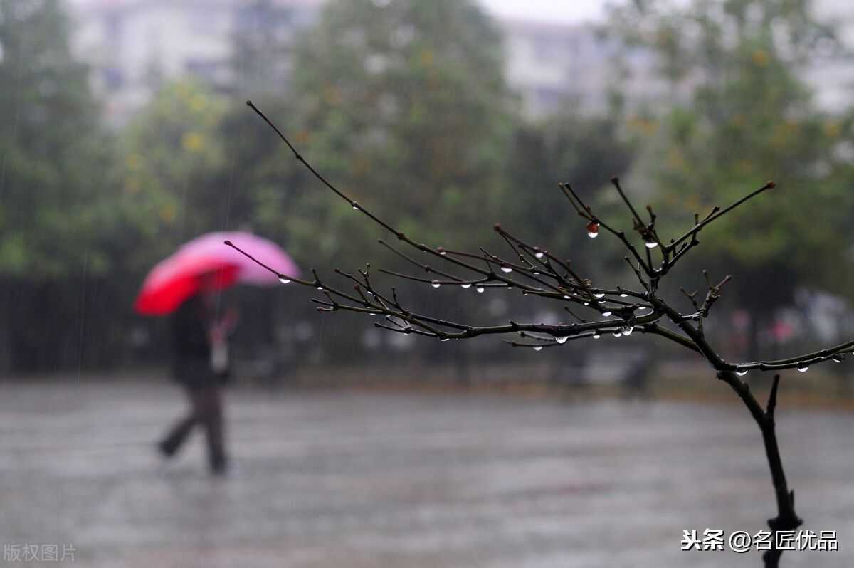 深秋的风吹起落地的叶是什么歌(深秋己过冬将至是什么意思)