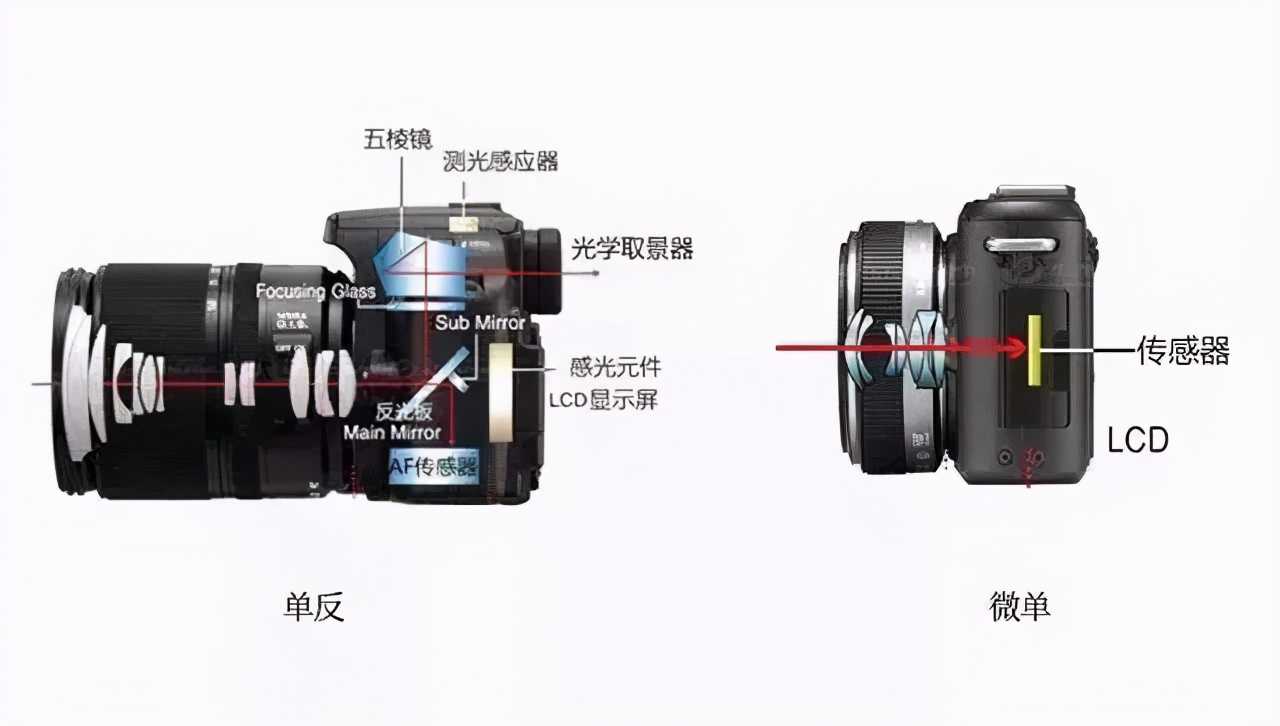 微单和单反的区别是什么（微单和单反的区别介绍）